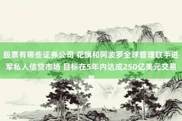 股票有哪些证券公司 花旗和阿波罗全球管理联手进军私人信贷市场 目标在5年内达成250亿美元交易