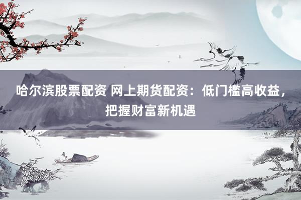 哈尔滨股票配资 网上期货配资：低门槛高收益，把握财富新机遇