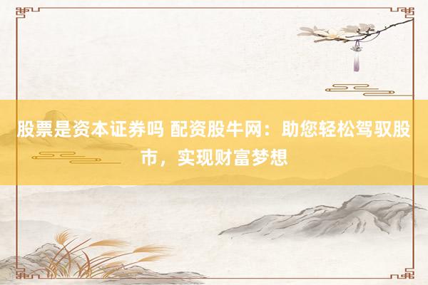 股票是资本证券吗 配资股牛网：助您轻松驾驭股市，实现财富梦想