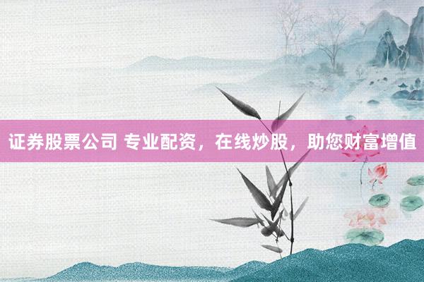 证券股票公司 专业配资，在线炒股，助您财富增值